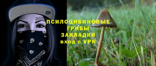 сатива Краснослободск
