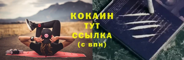 сатива Краснослободск