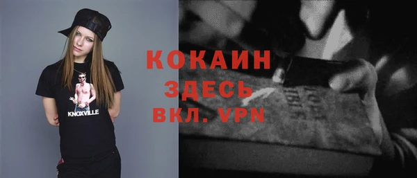 сатива Краснослободск