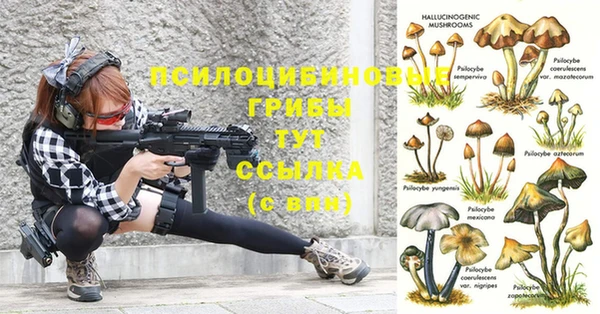 сатива Краснослободск