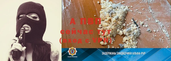 сатива Краснослободск